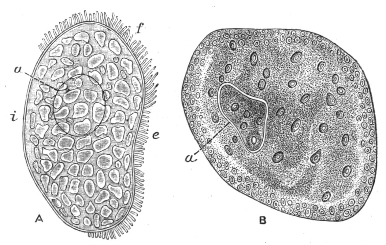 fig162