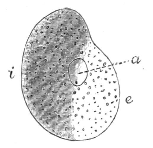 fig163