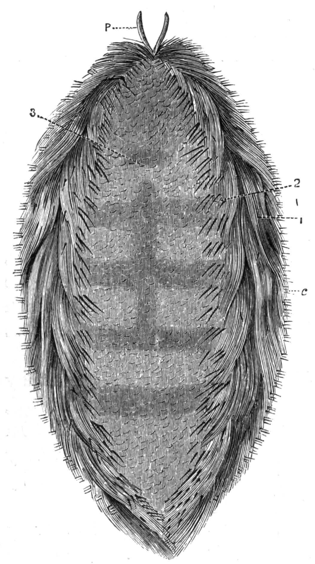 fig164