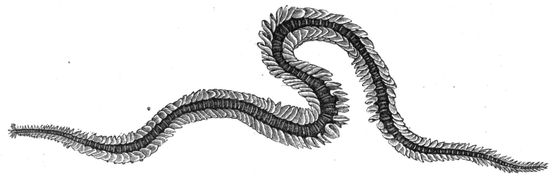 fig165