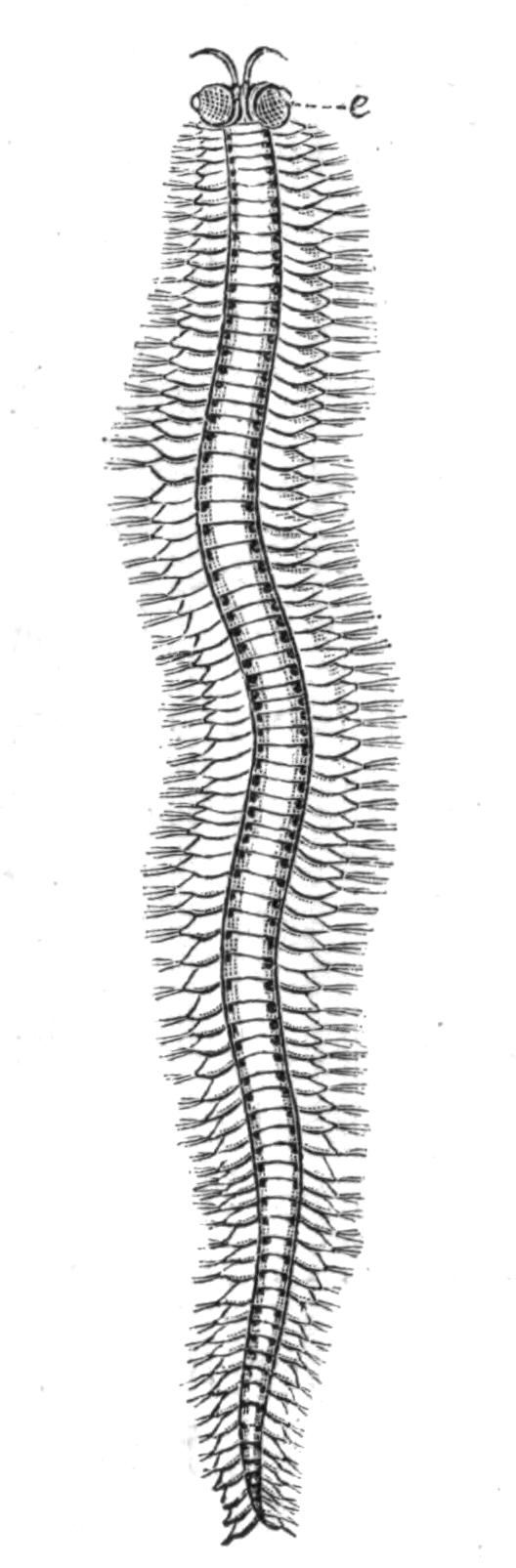 fig166