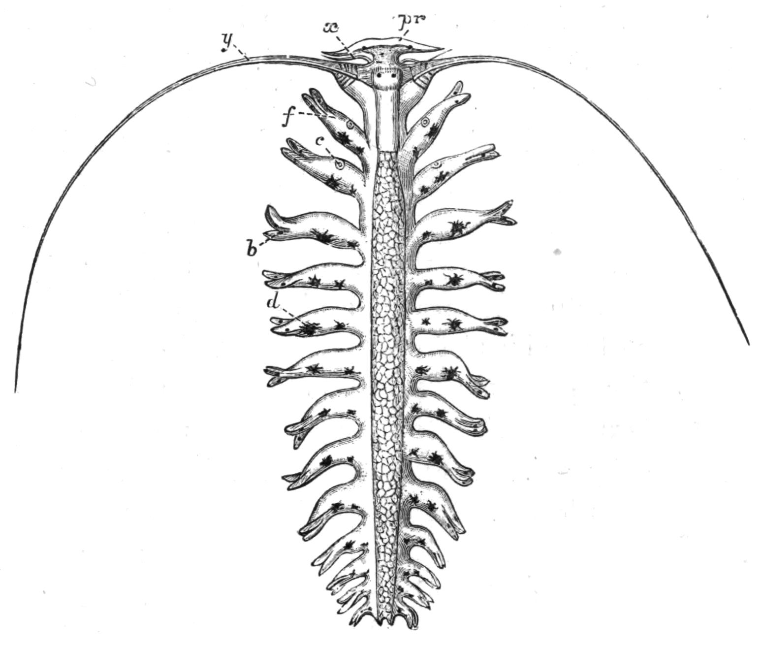 fig167