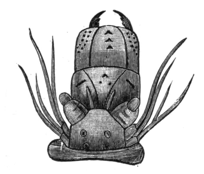 fig168