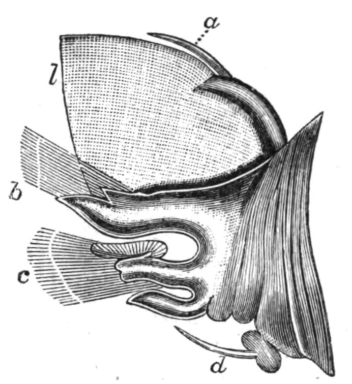 fig169