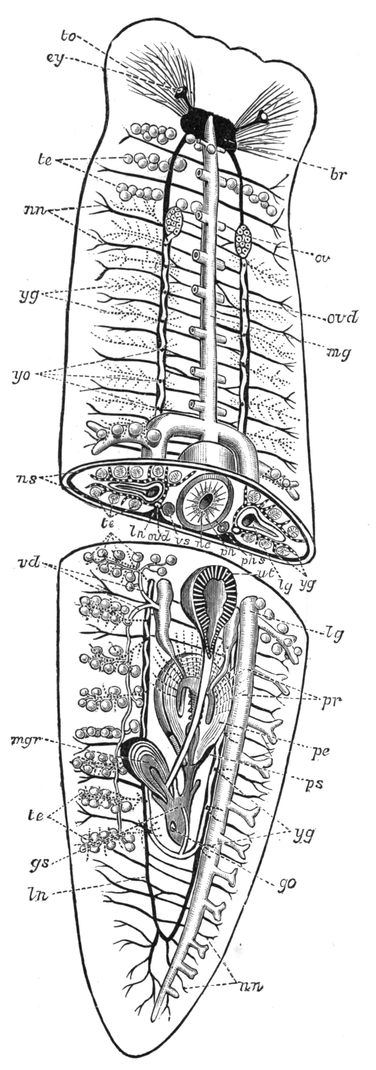 fig17