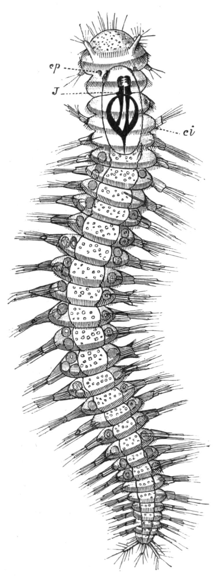 fig170