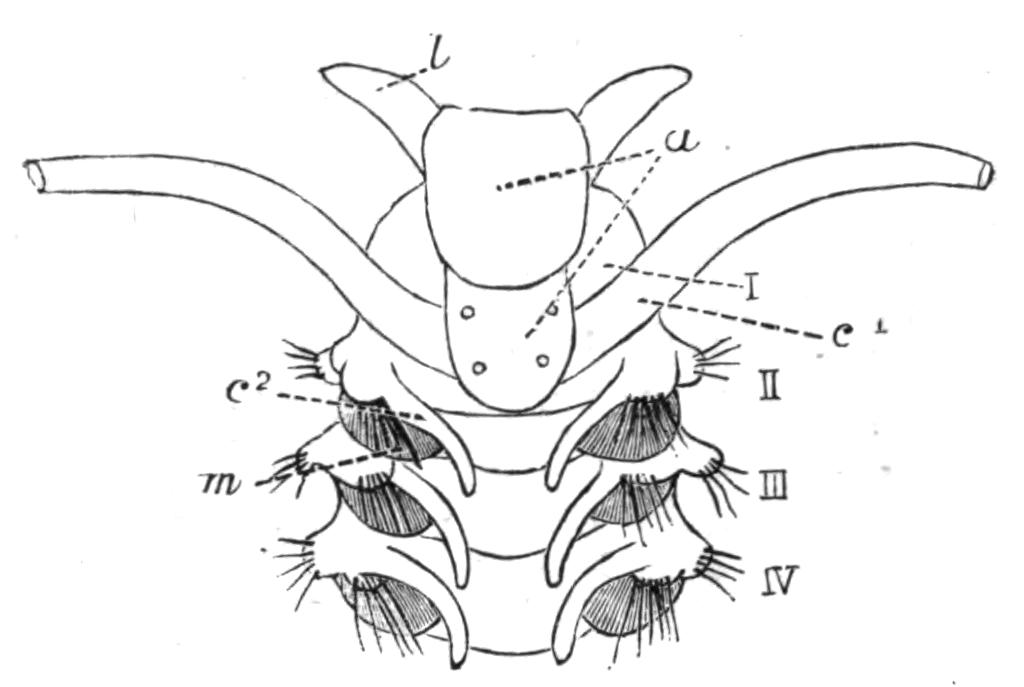fig172