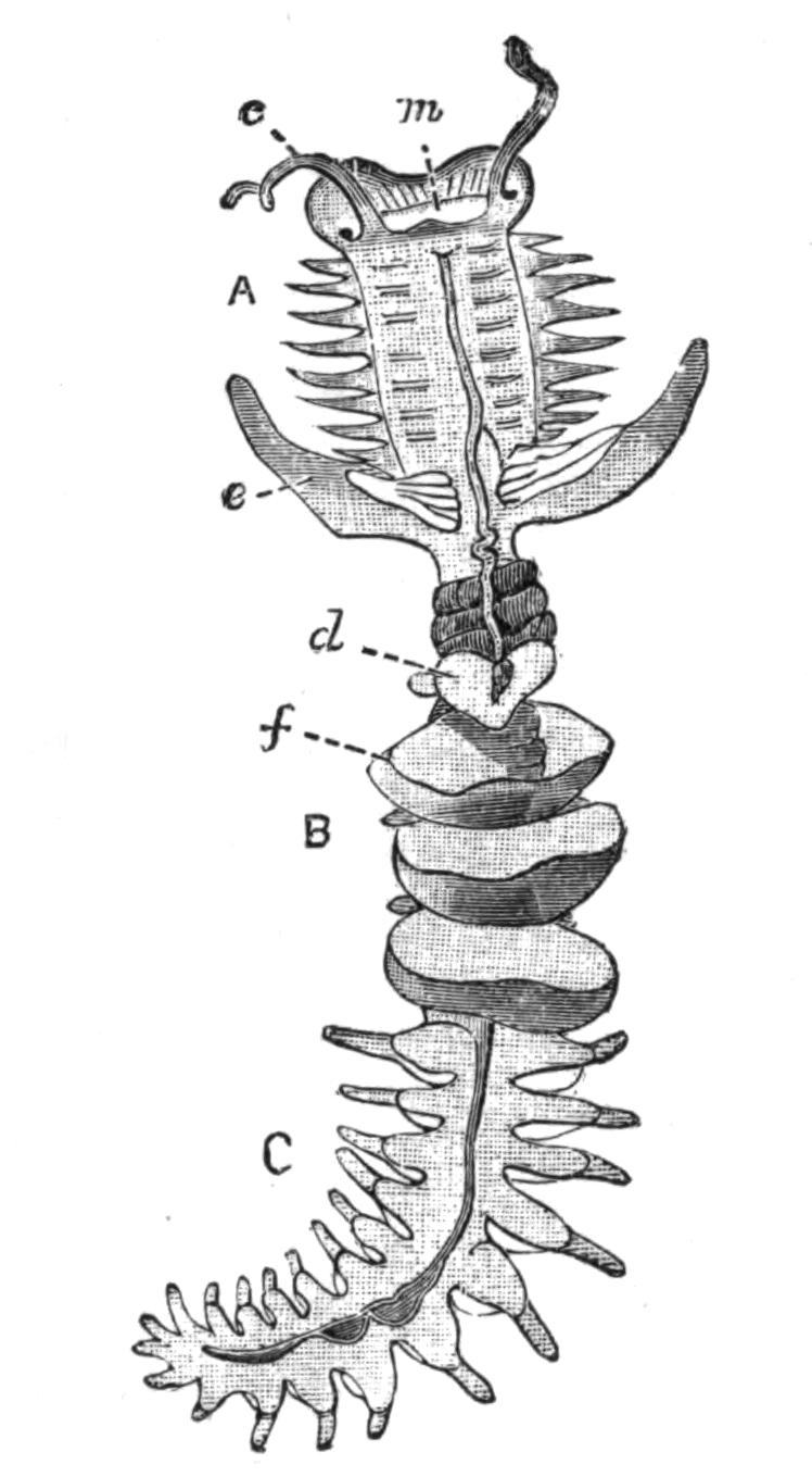 fig173