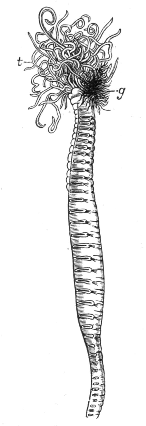 fig175