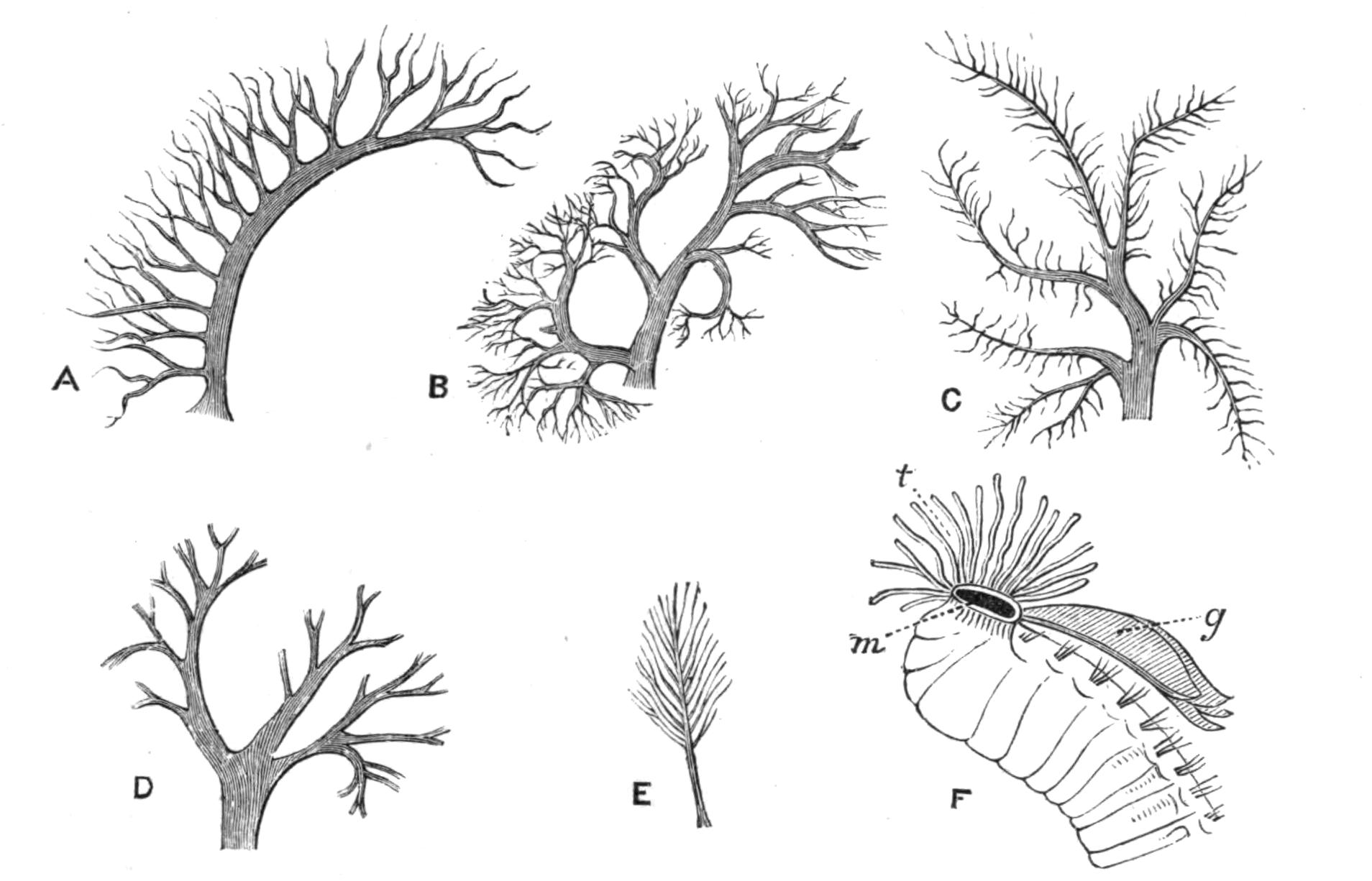 fig176