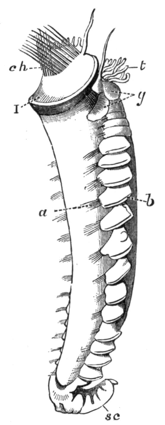 fig177