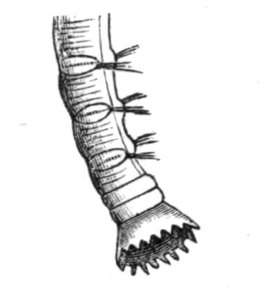 fig178