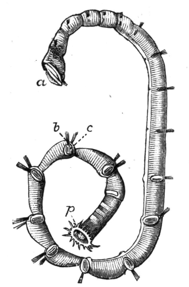 fig179