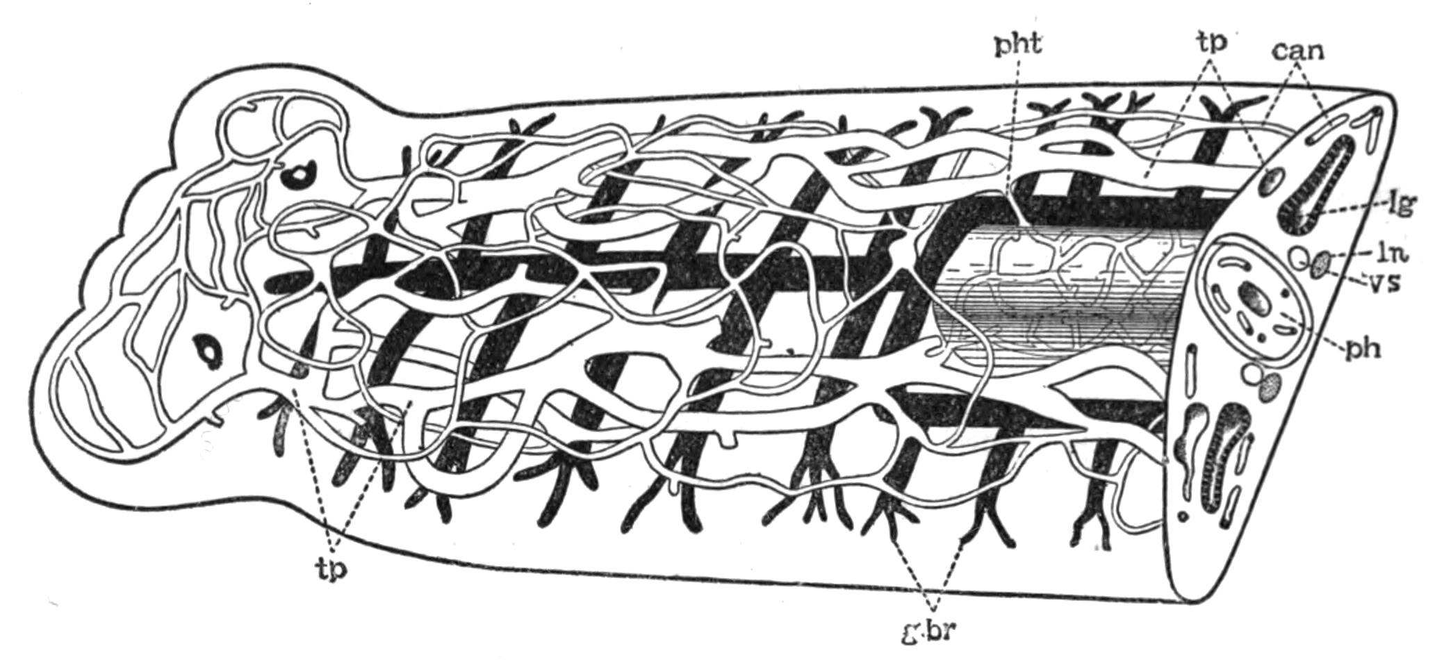 fig18