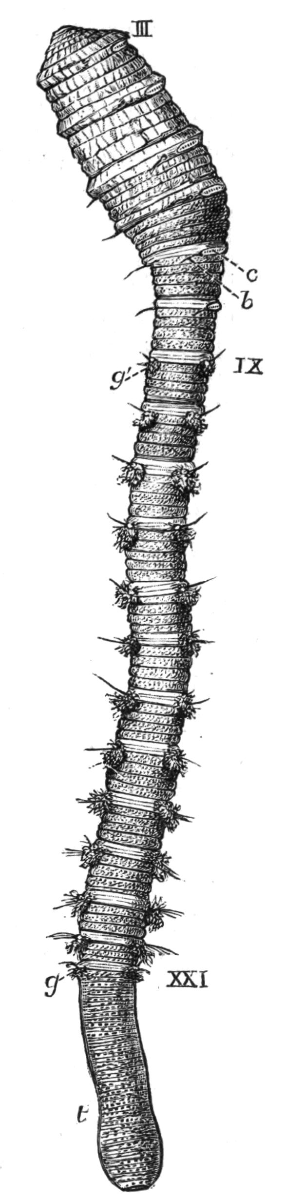 fig180