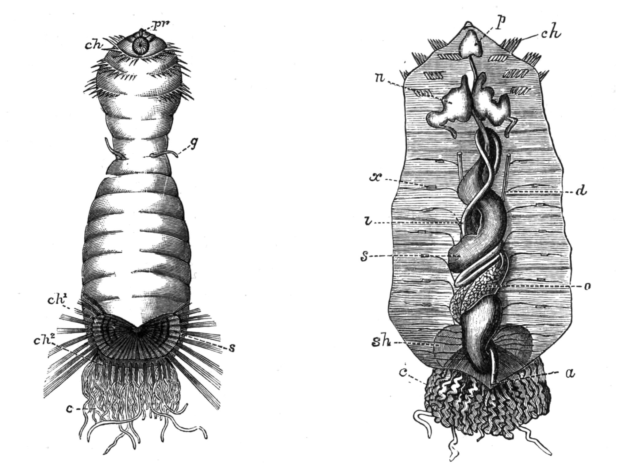 fig181