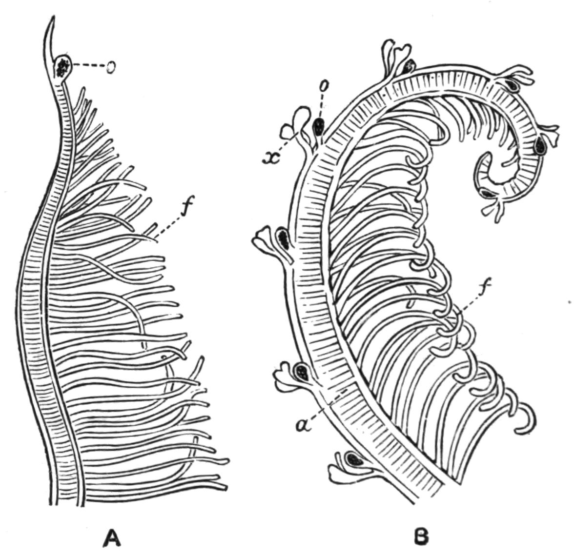 fig182