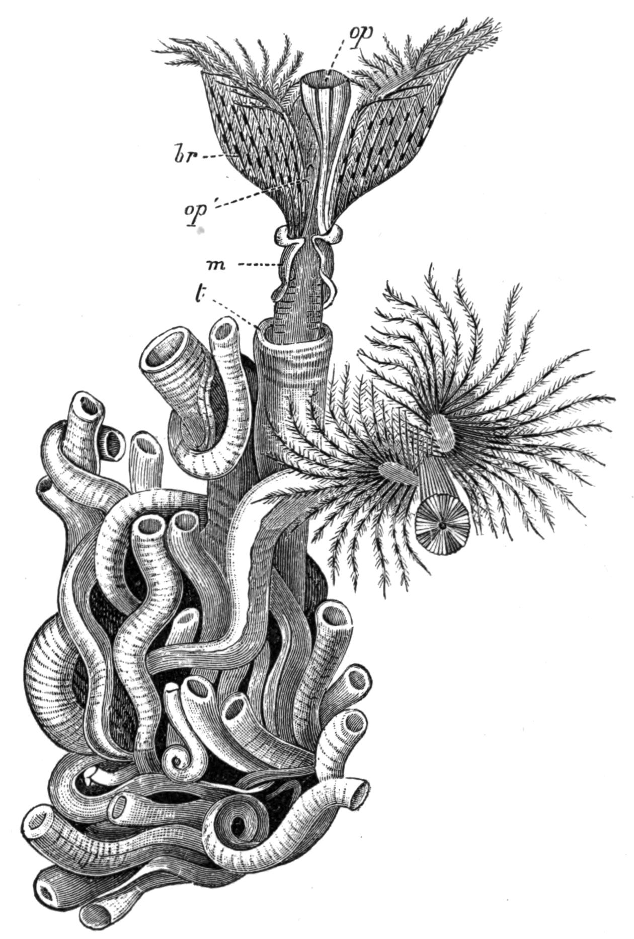 fig183