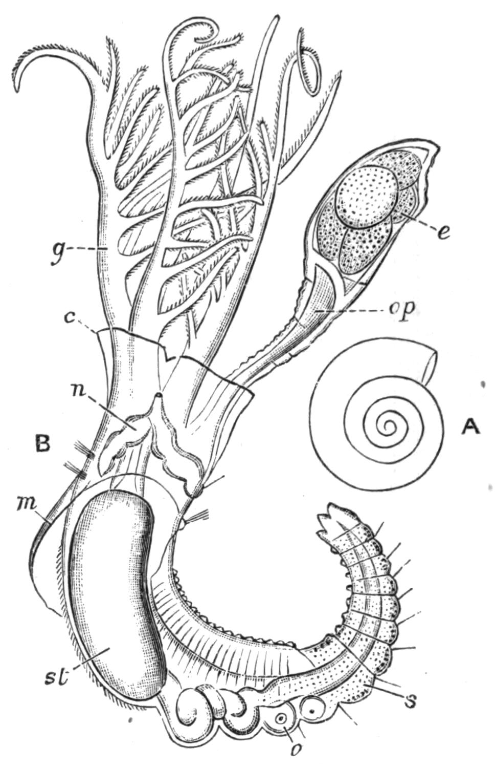 fig184