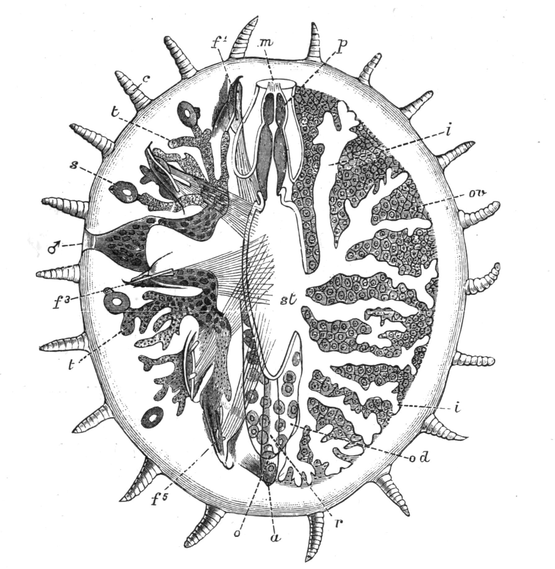 fig186