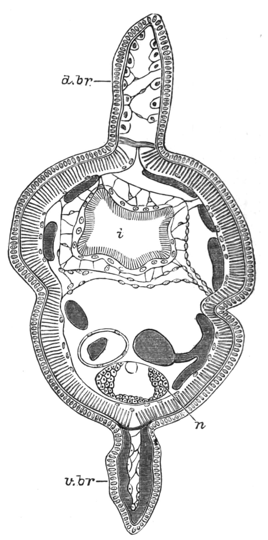 fig189