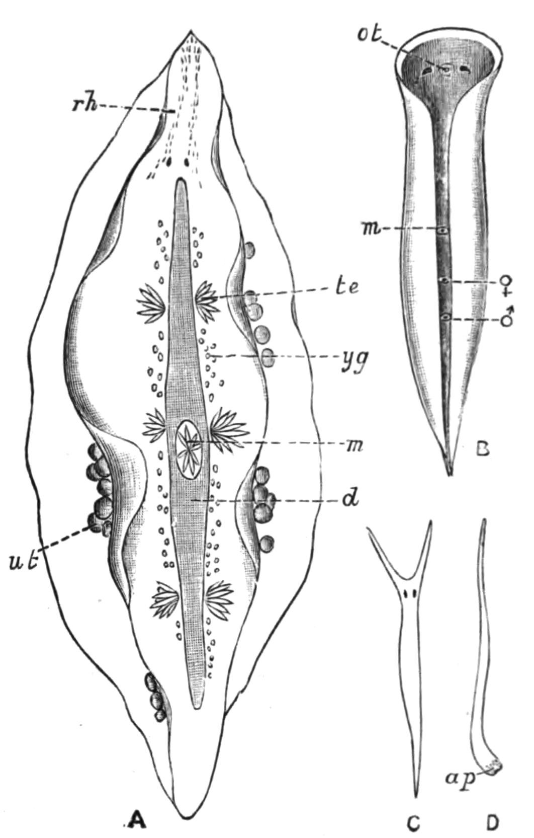 fig19