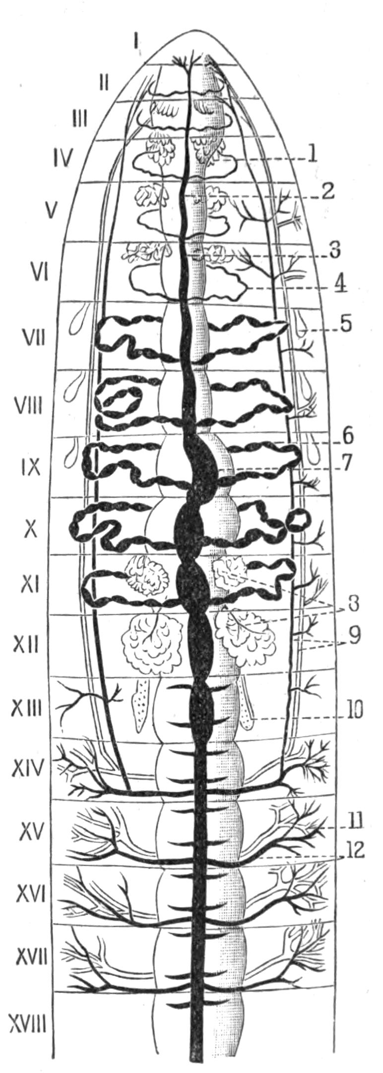 fig190