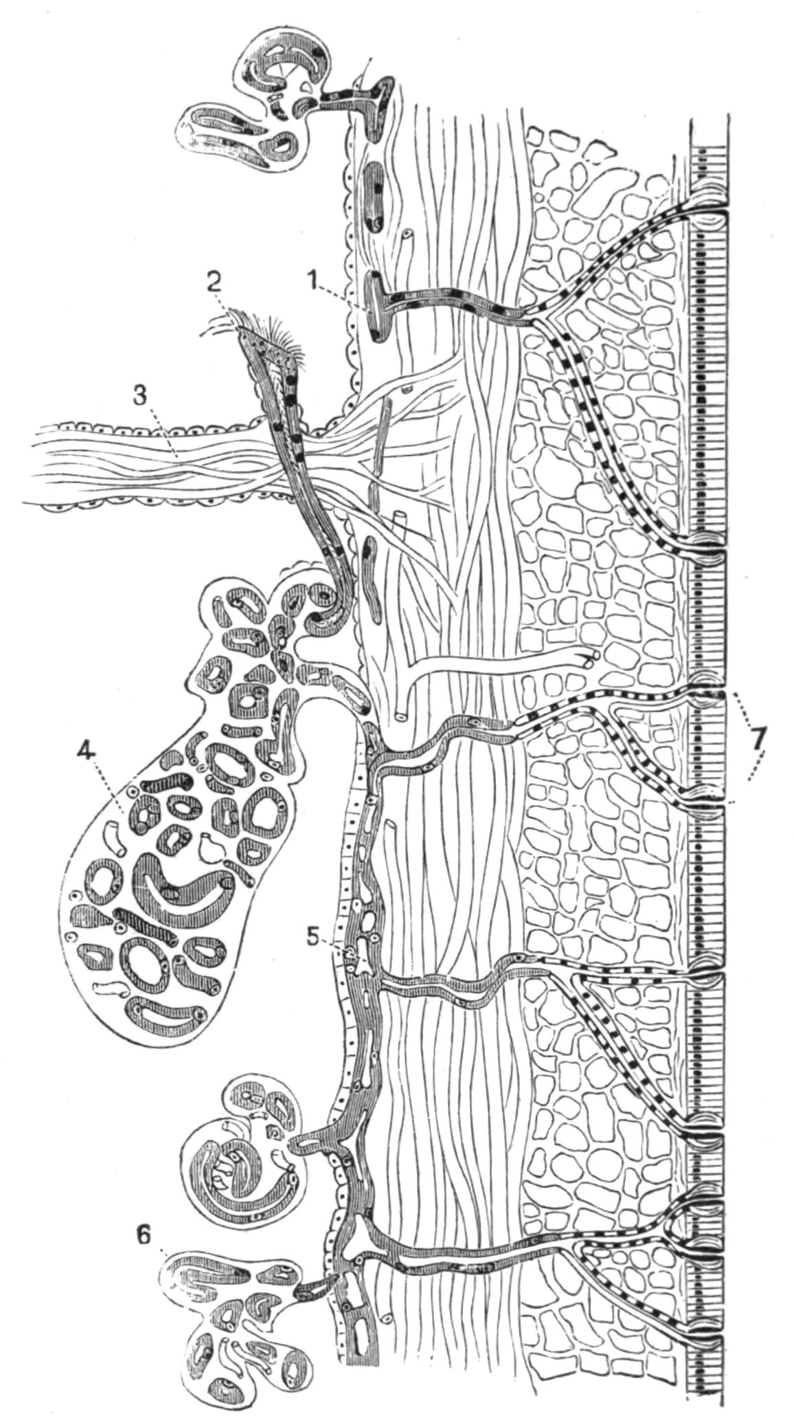 fig191