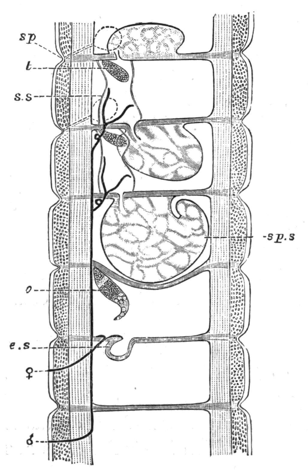 fig192