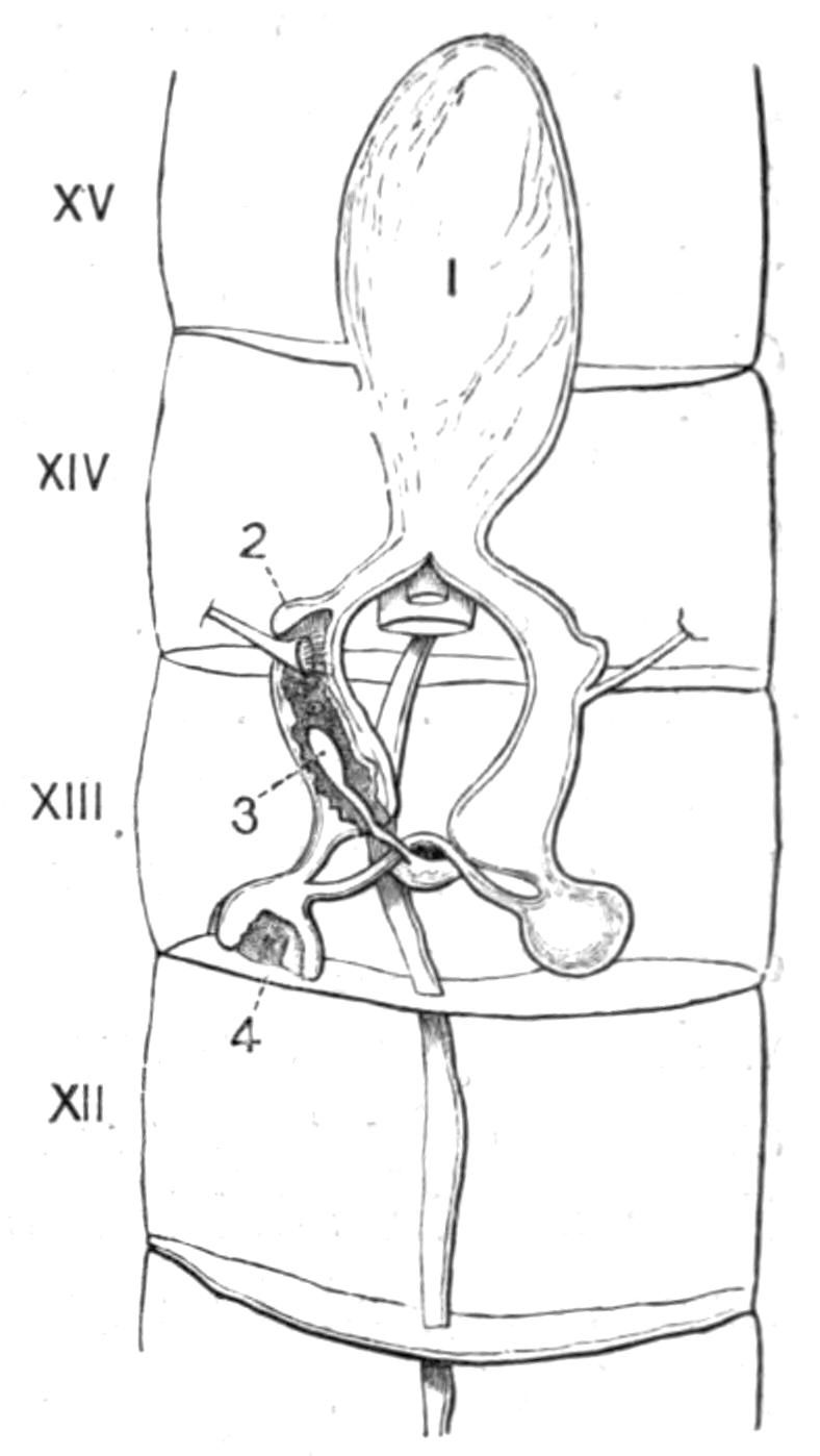 fig193