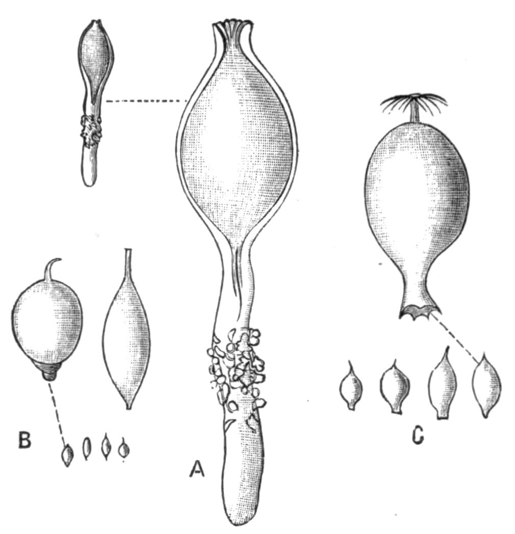 fig194