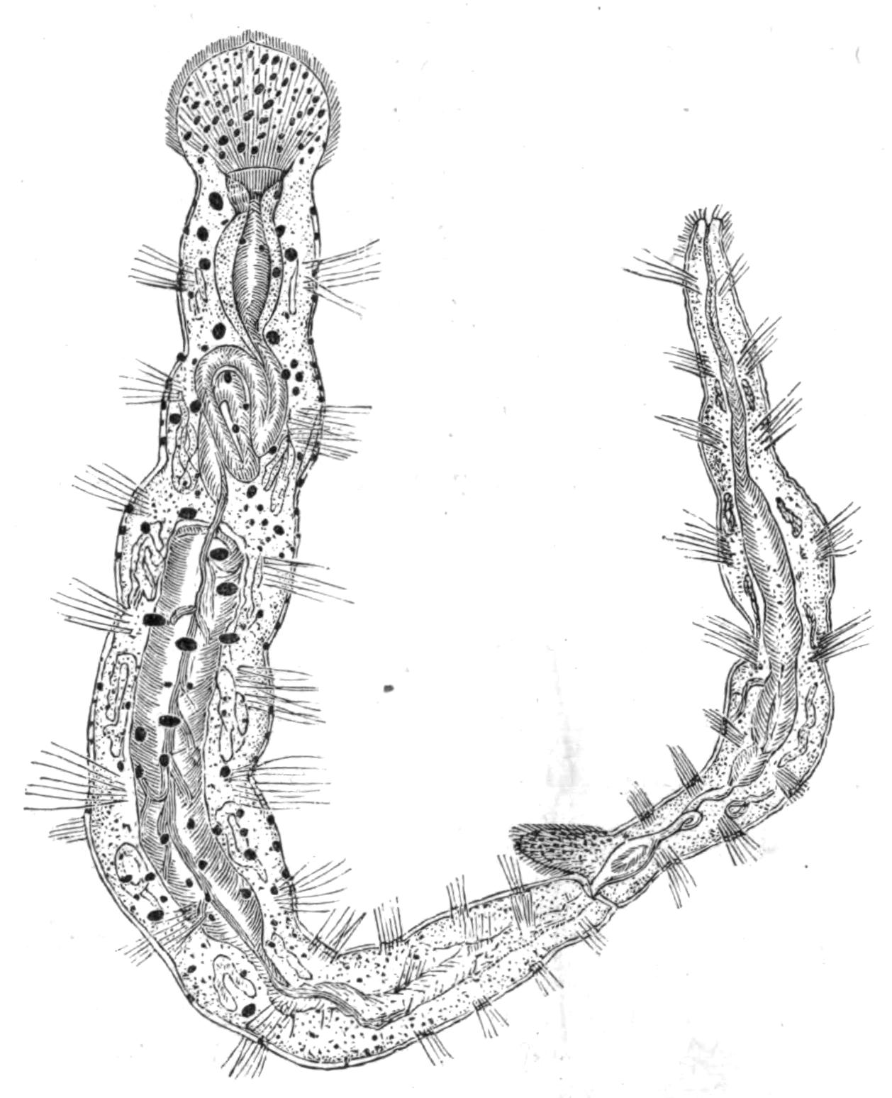 fig195