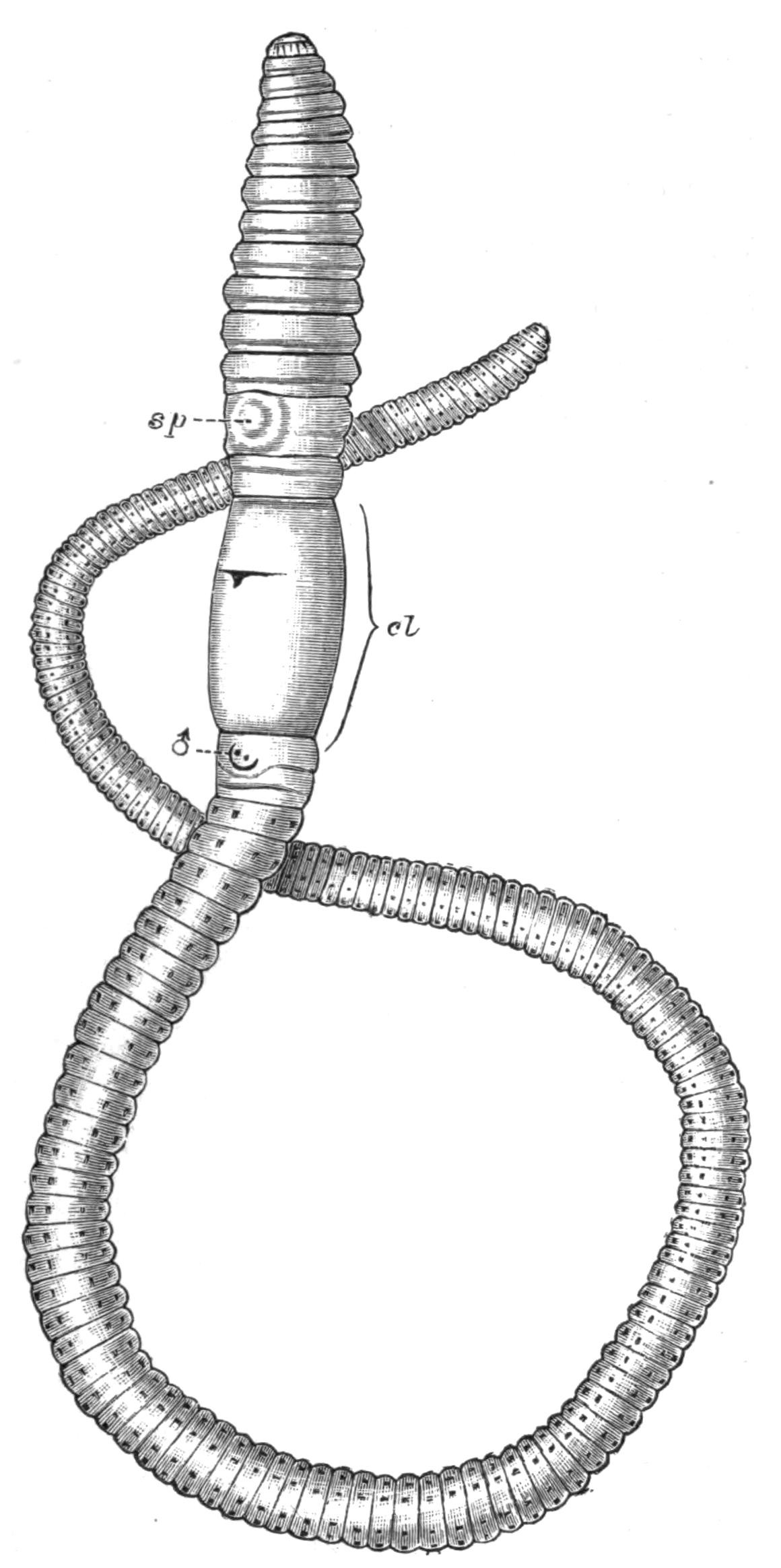 fig197