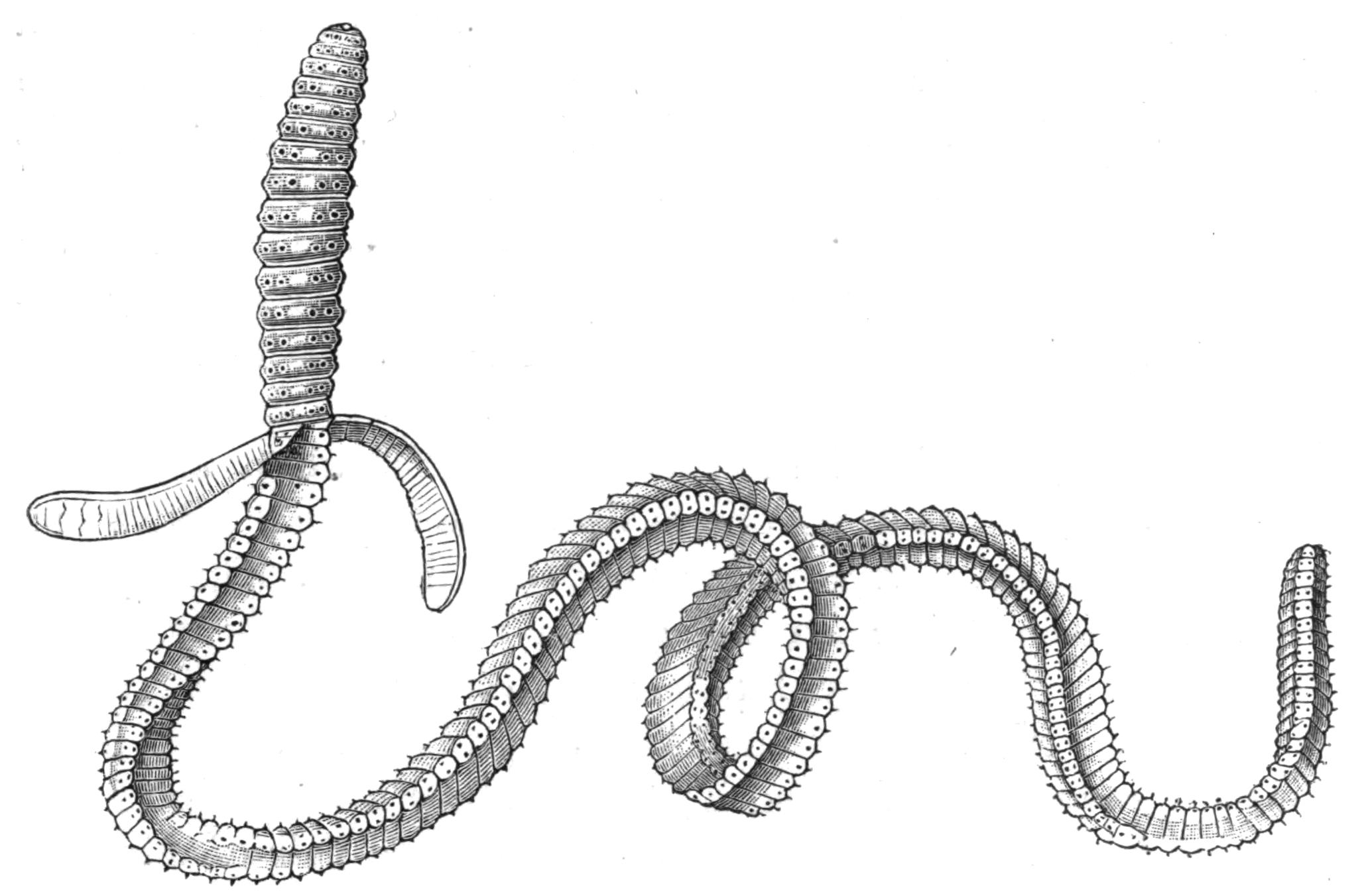 fig198