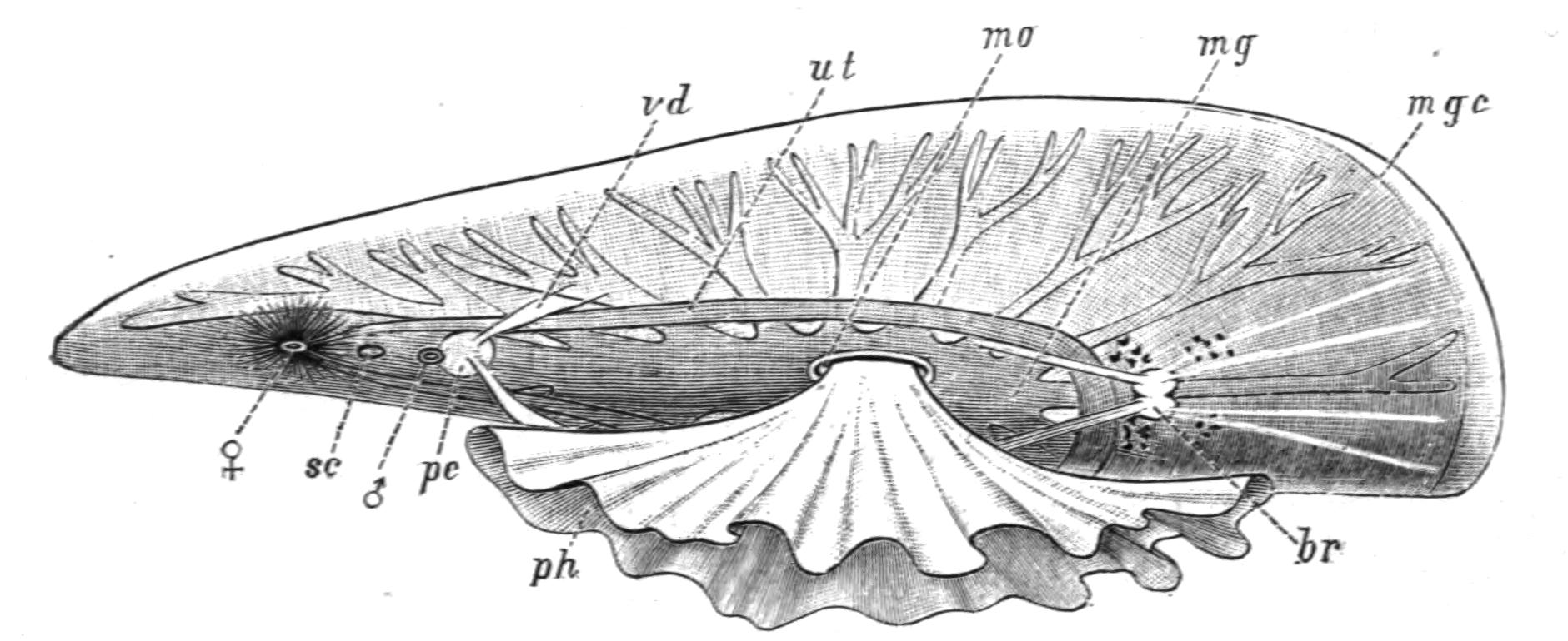 fig2
