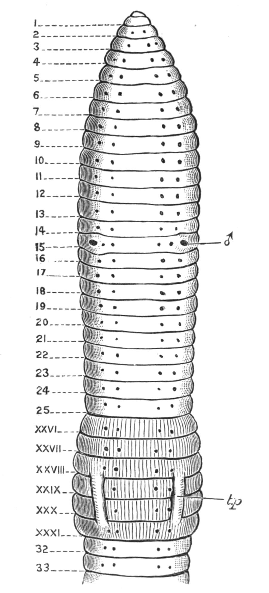 fig200