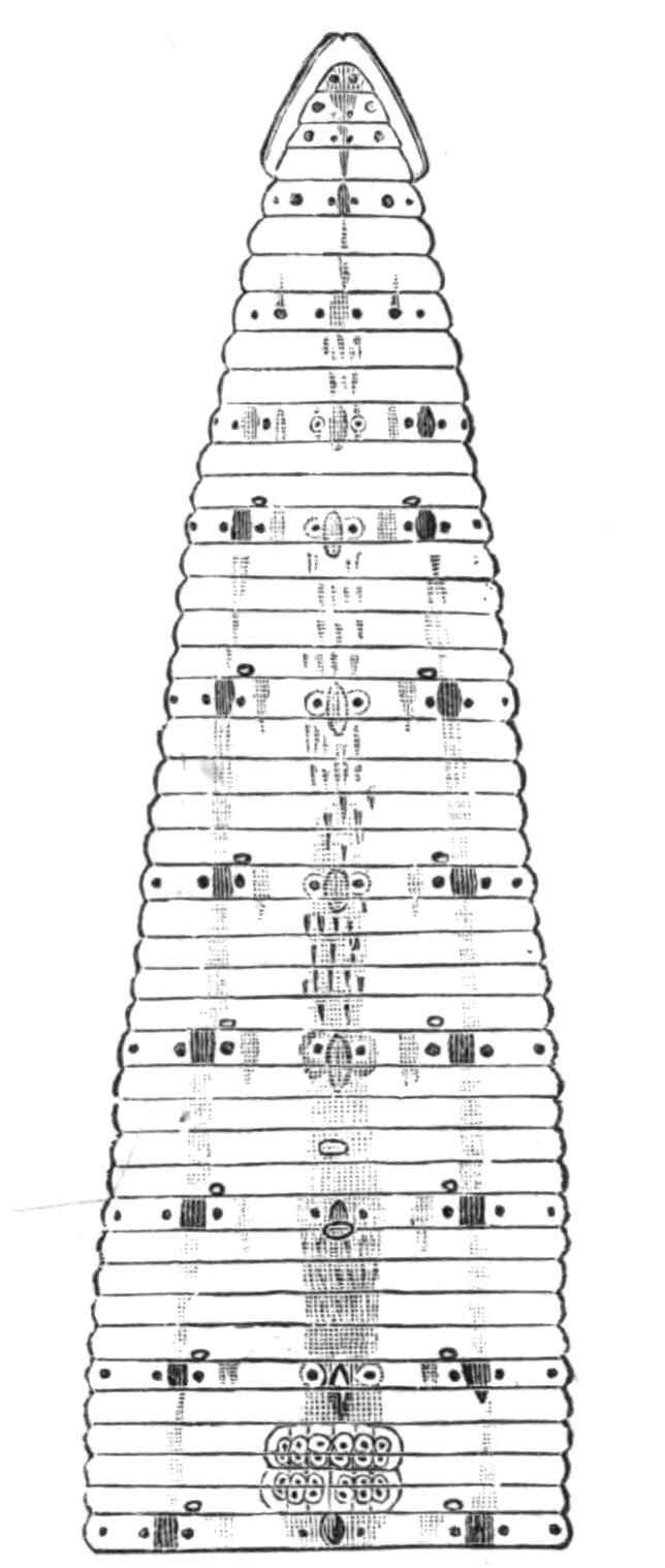 fig201