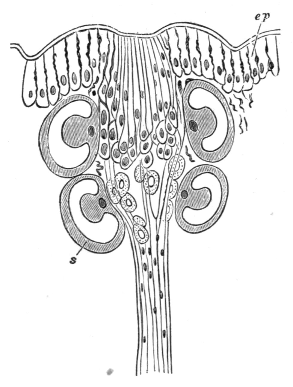 fig202