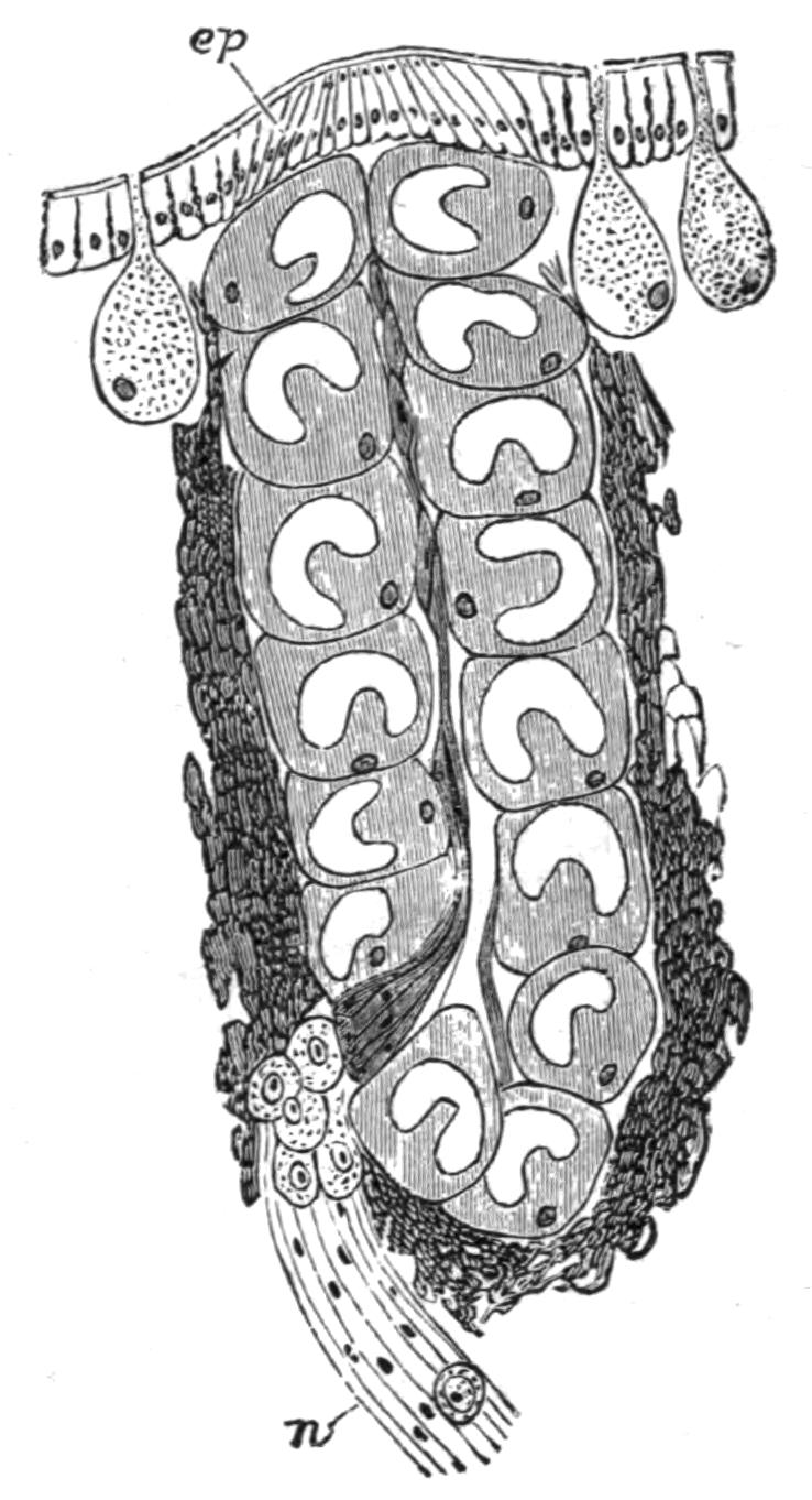 fig203
