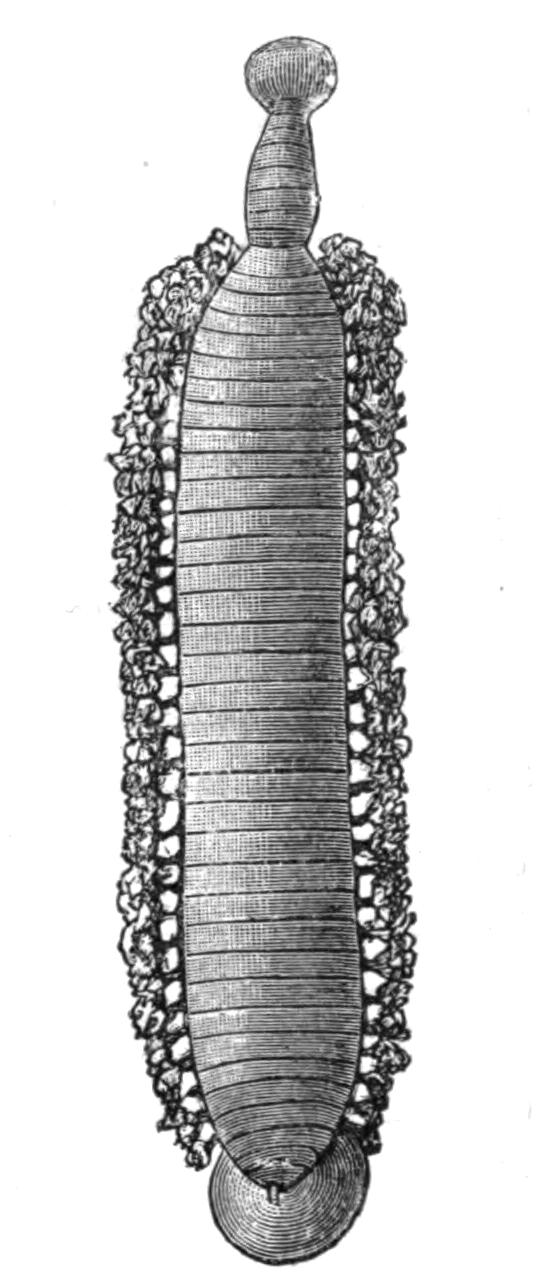 fig204