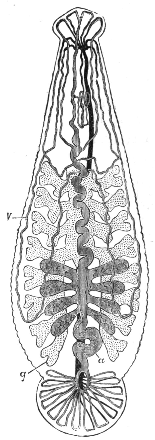 fig205