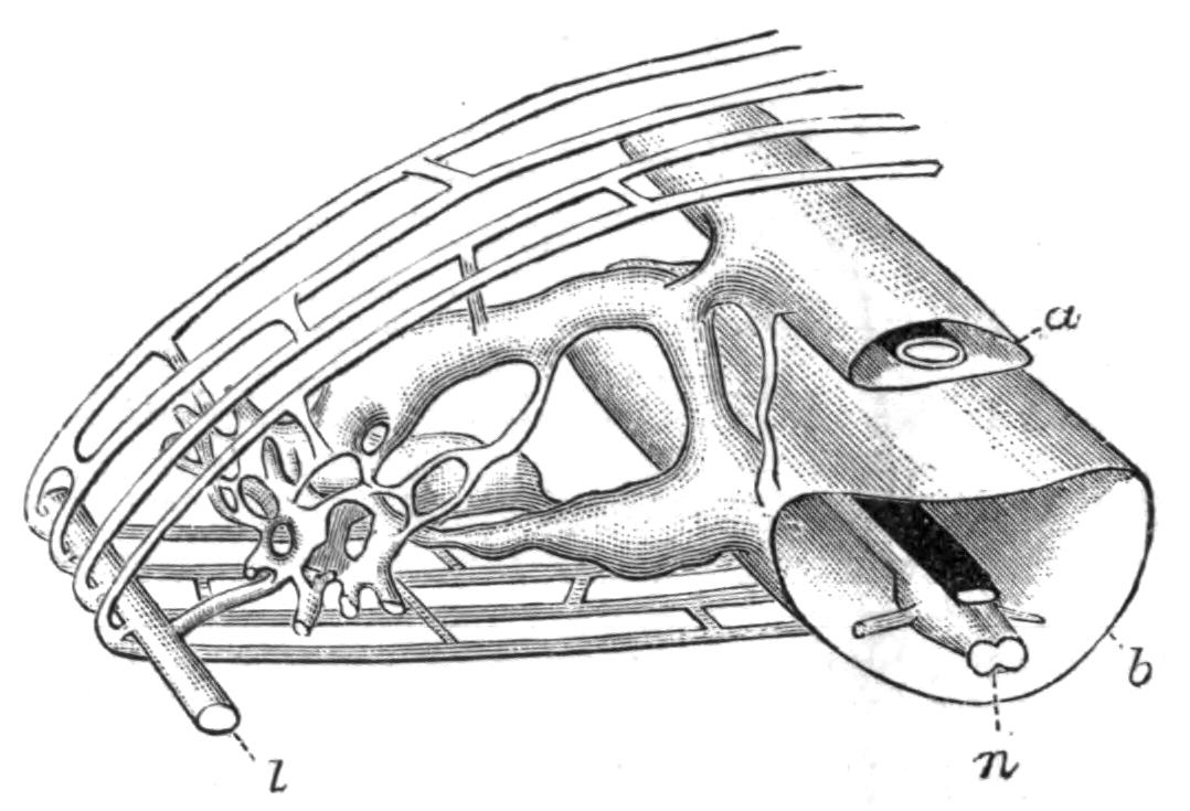 fig206