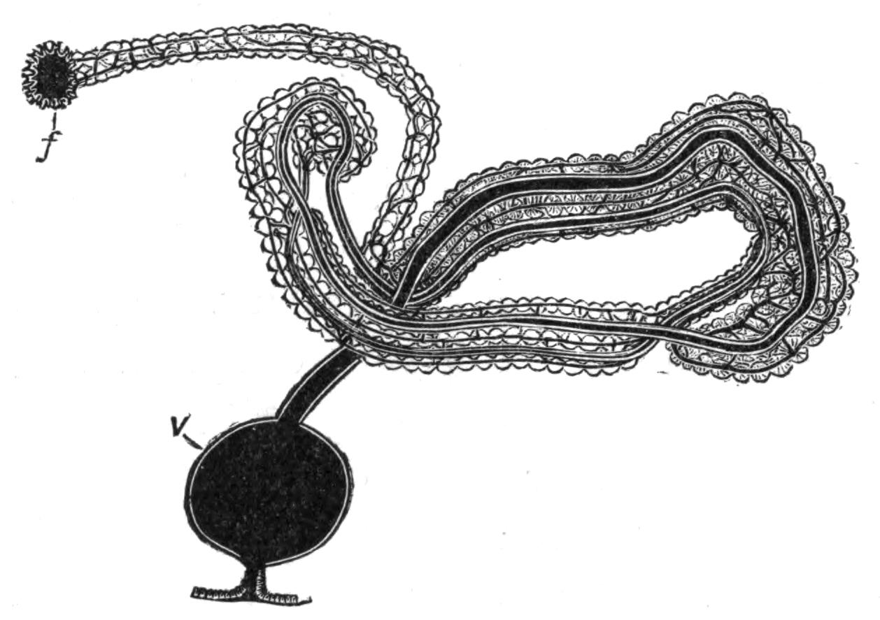 fig207