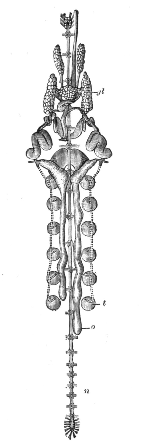 fig208