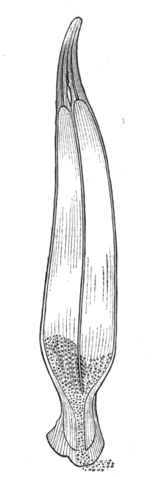 fig209