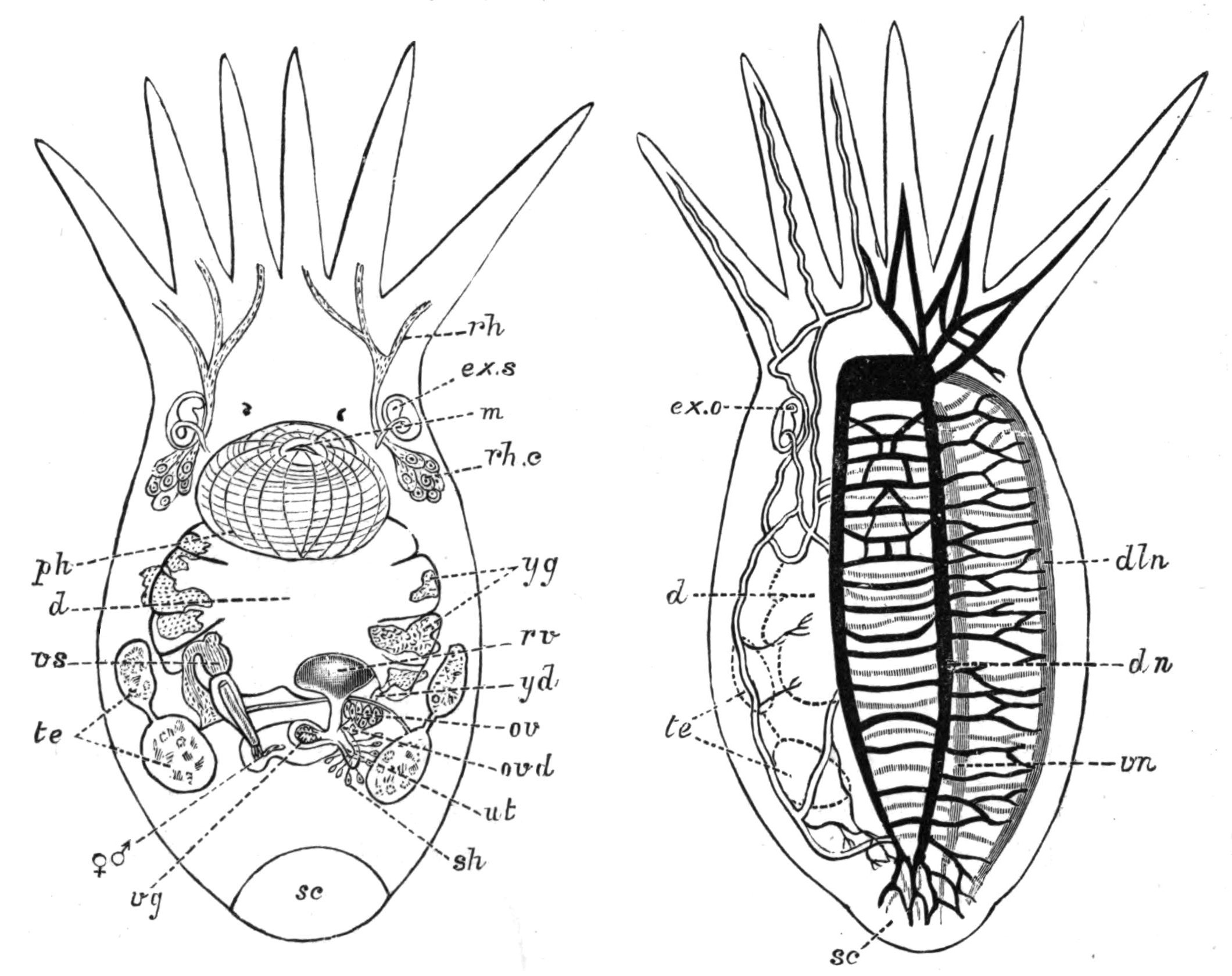 fig20_21