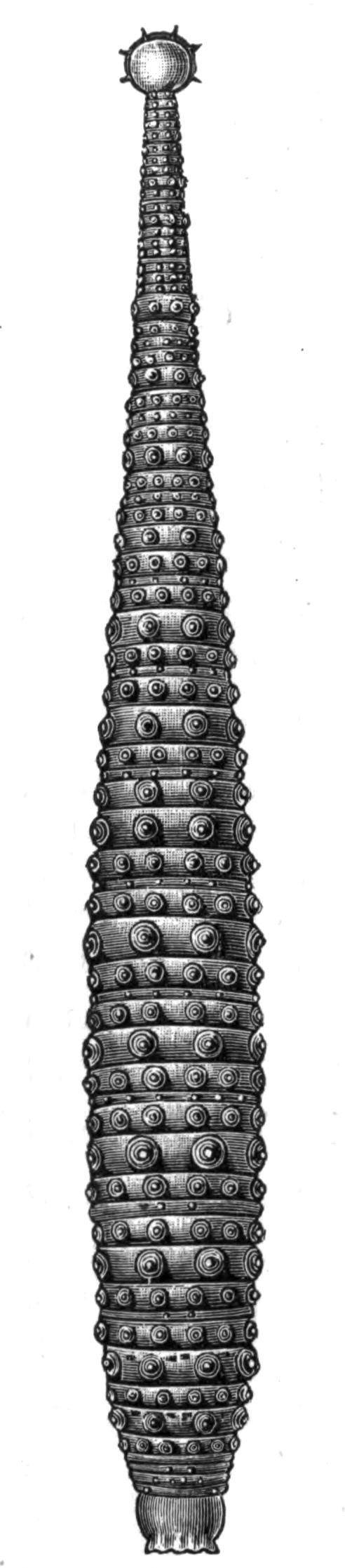fig210