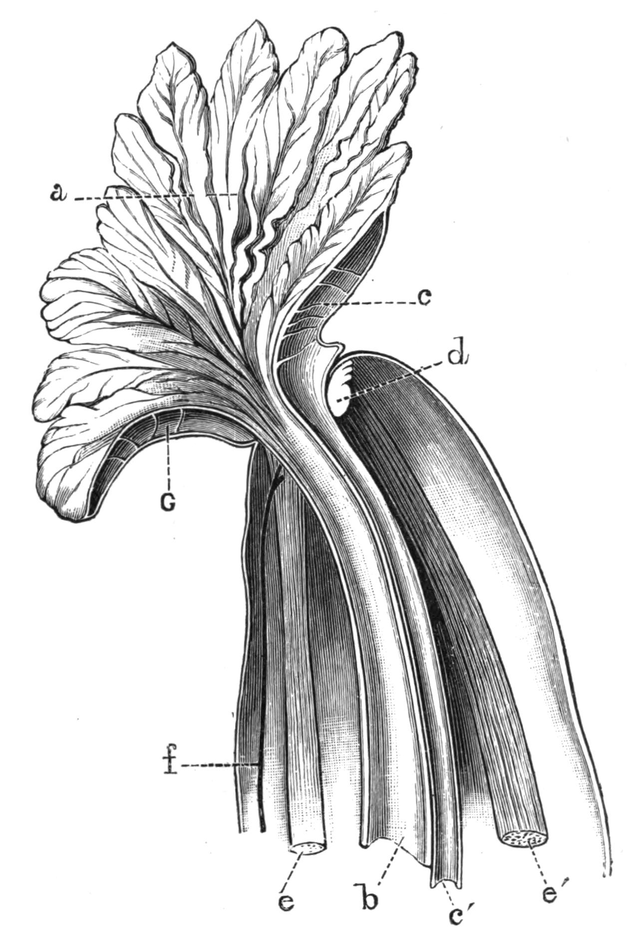 fig211