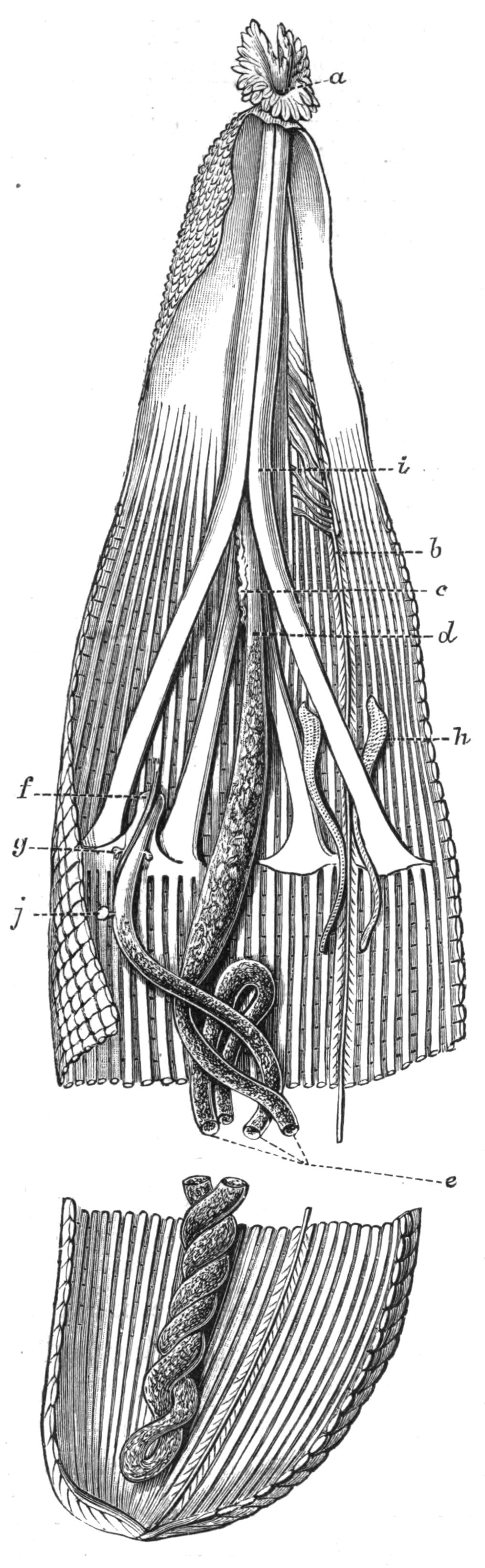 fig212