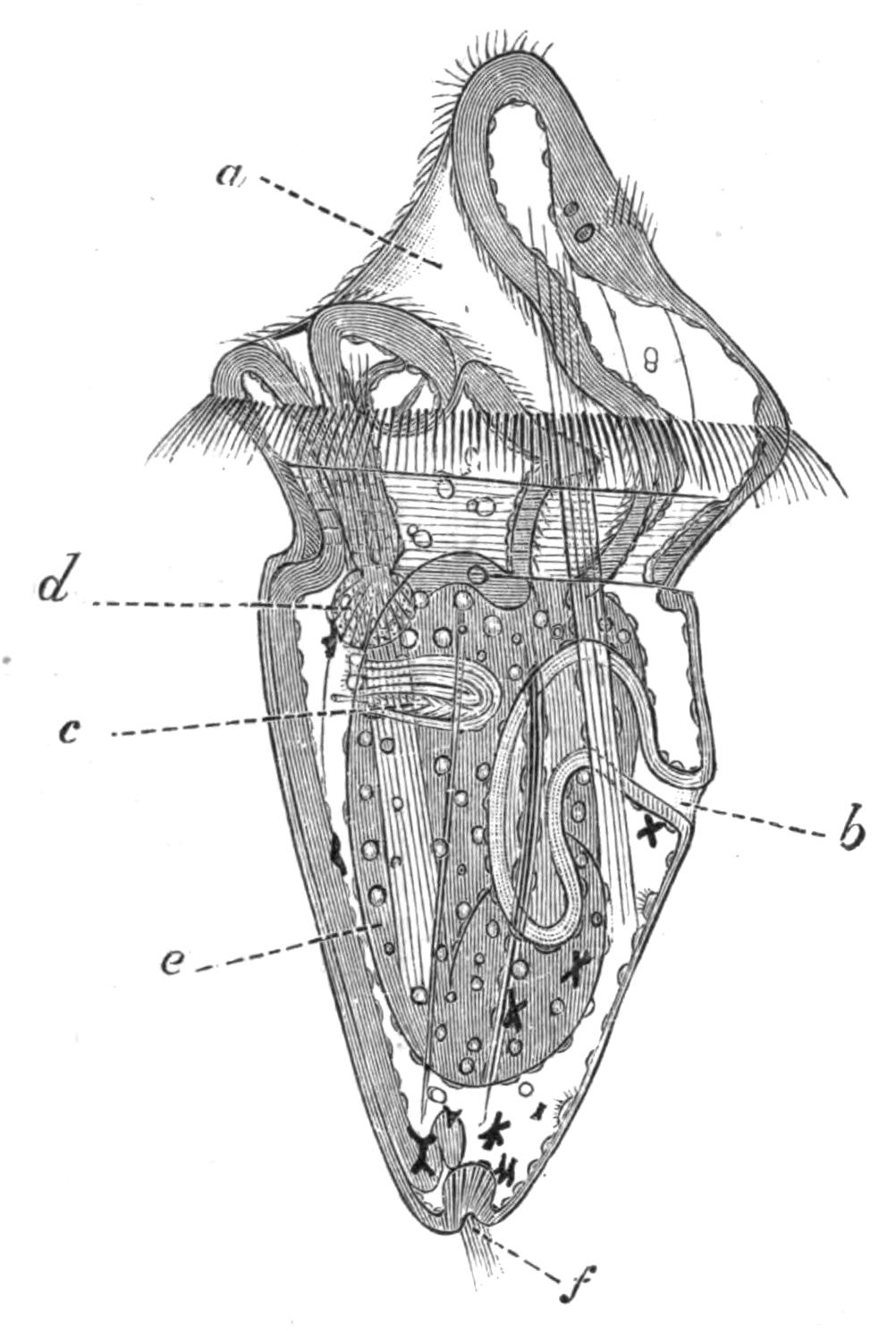 fig213